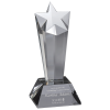 Engraved Premier Star Award crystal.